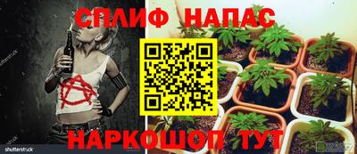МДПВ Шелехов
