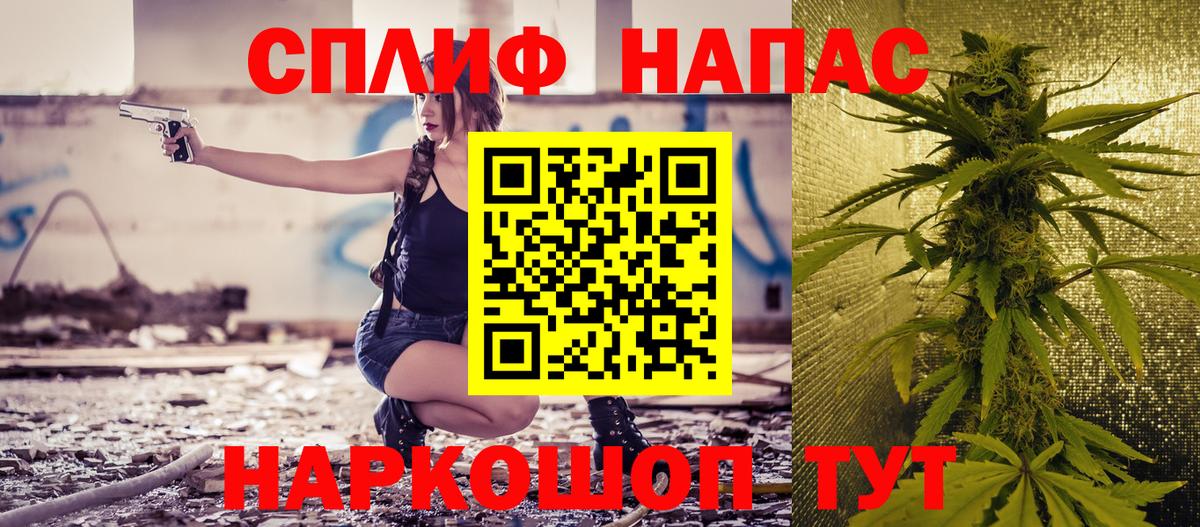 Шишки марихуана марихуана  Вход с VPN  Выборг  Бошки Шишки план  Бошки марихуана ГИДРОПОН 